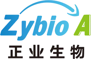 Zhengye Biotechnology Holding Limited